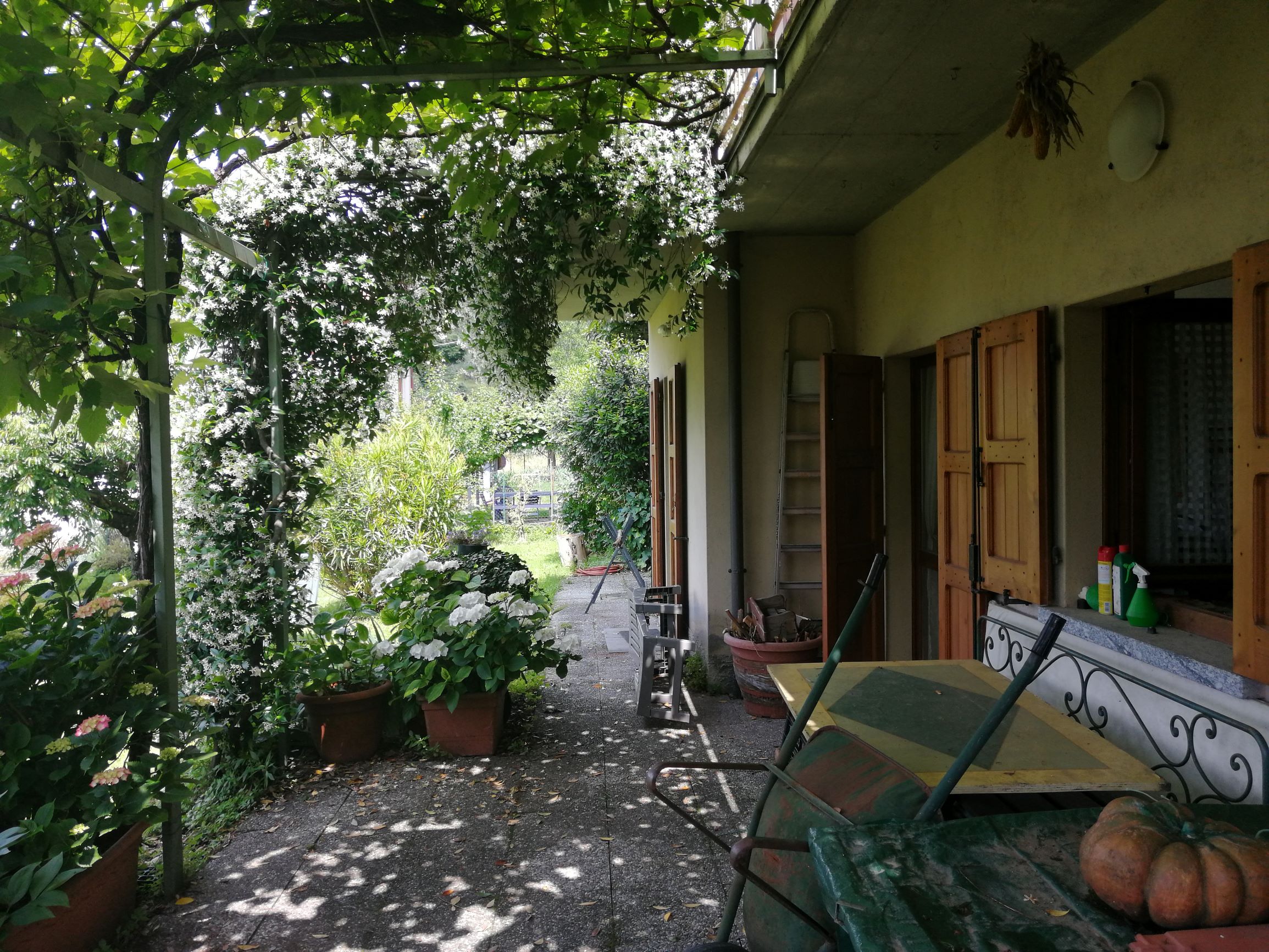 Foto17